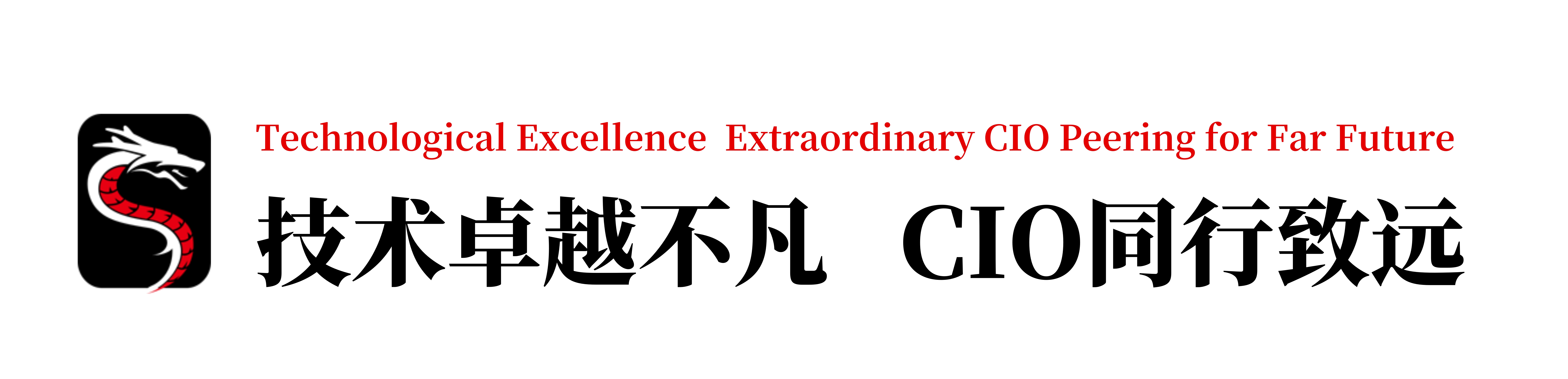 泷码首席信息官（CIO）平台理念